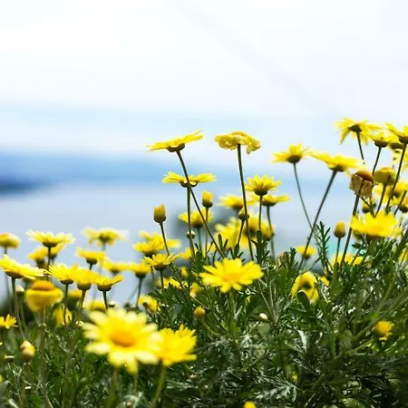 Apartment Daire Opatija